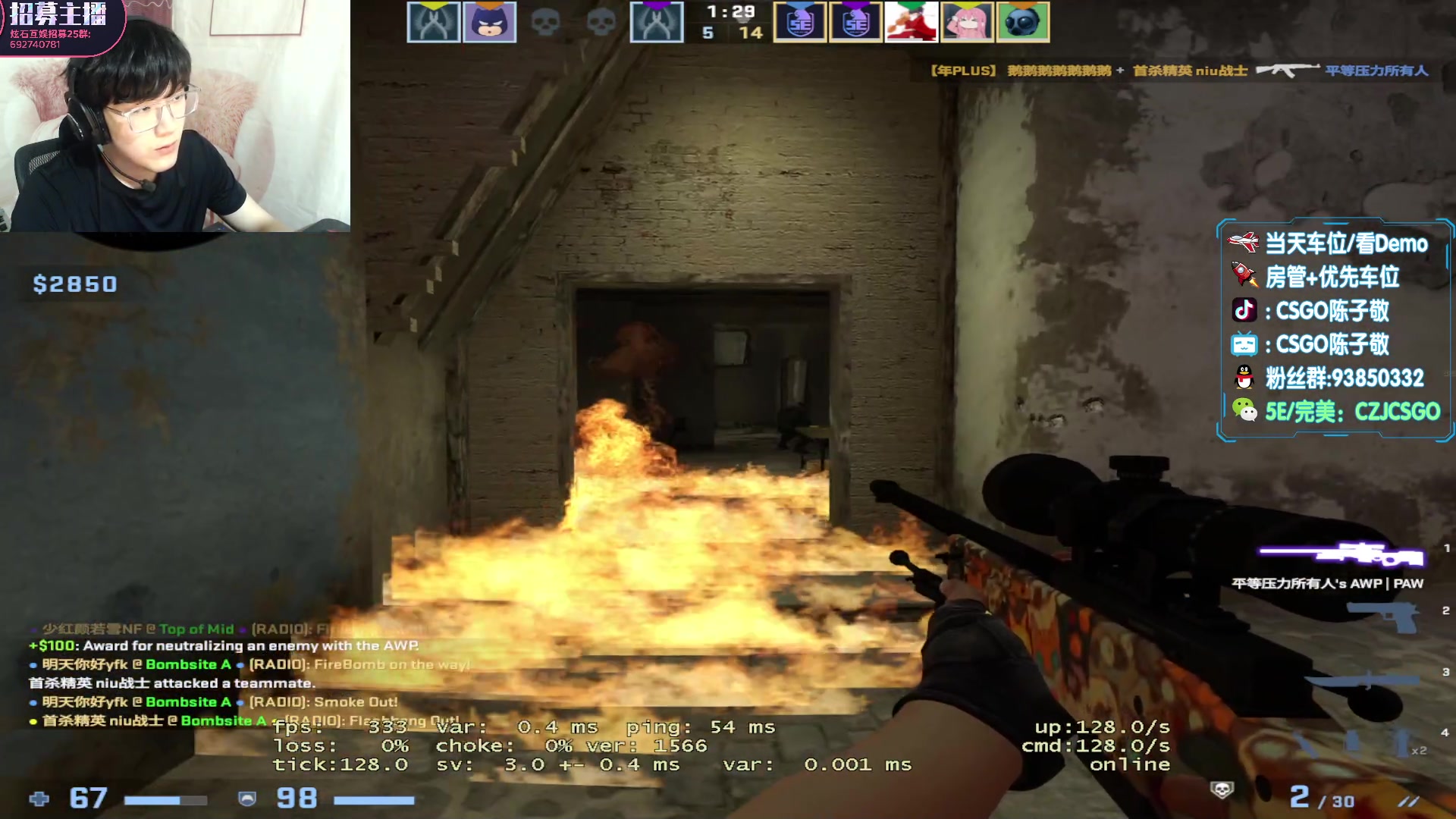 【2023-05-21 19点场】陈子敬丶：【陈子敬】解说MAJOR