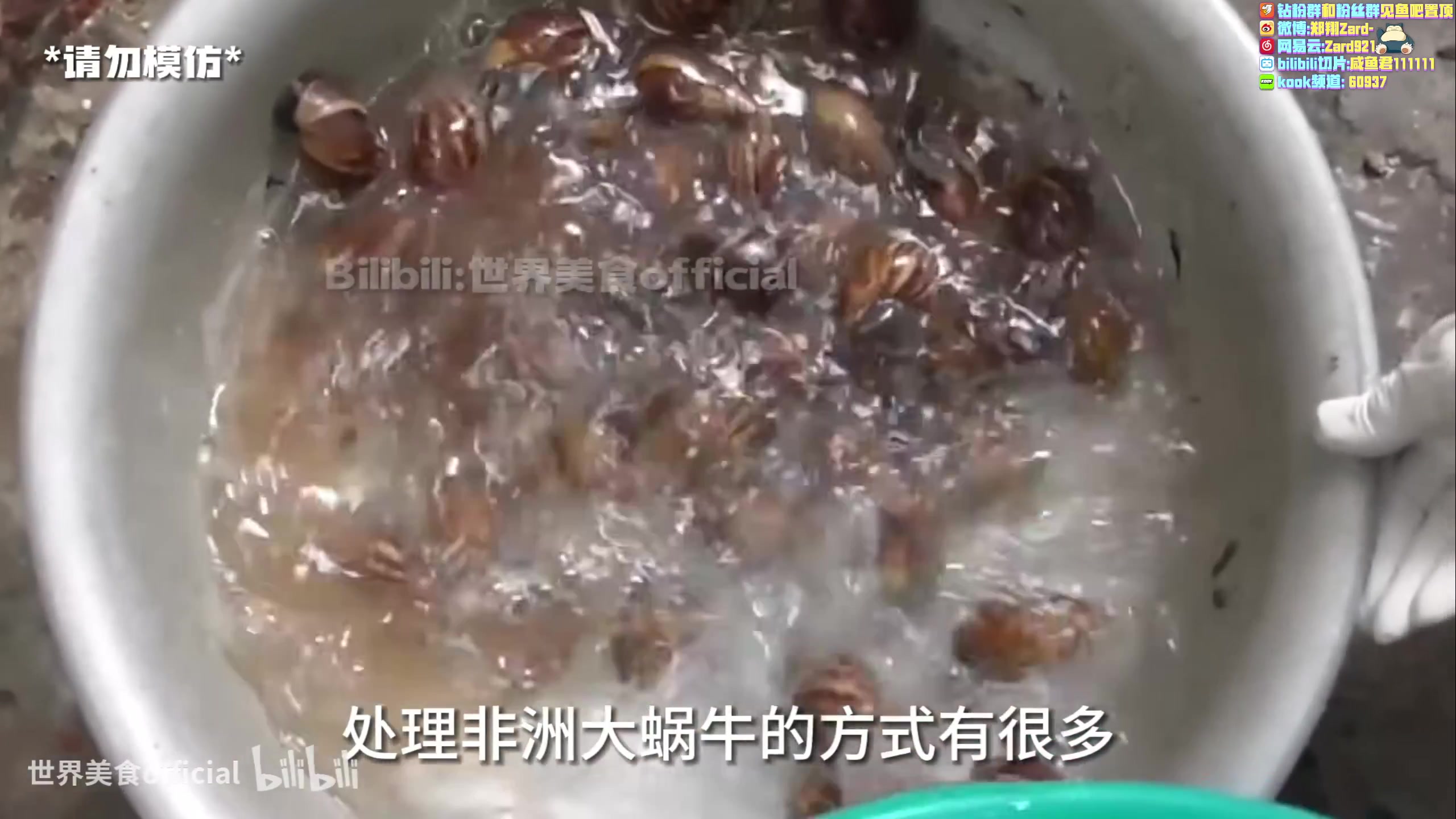 【2023-05-22 15点场】zard1991：zard1991 chill dude