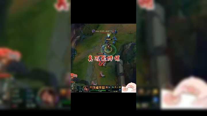 真不是炸胡