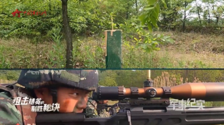 狙击手在眩晕状态下能命中牙签吗？