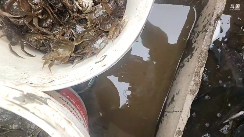 【户外】微山湖捕鱼武工队的精彩时刻 20230524 13点场