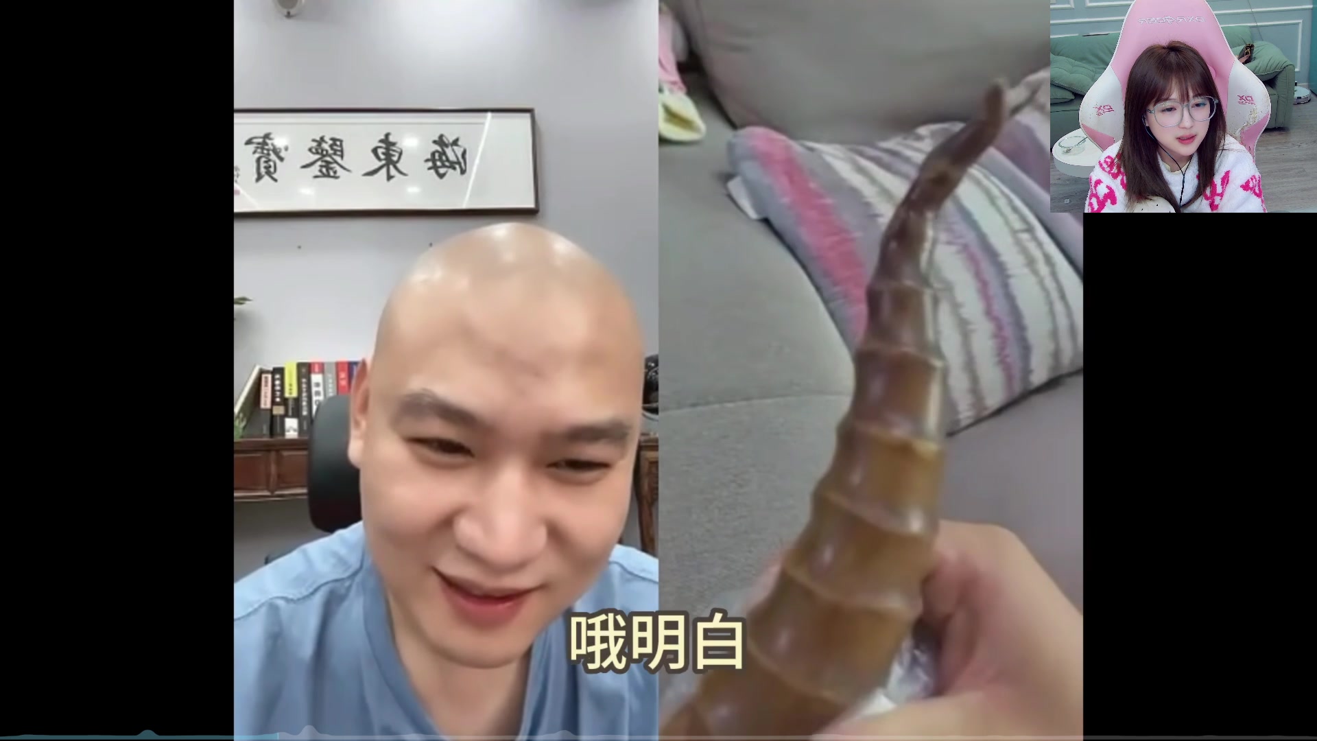 【2023-05-25 07点场】A妹A妹：【呆猪】新人主播