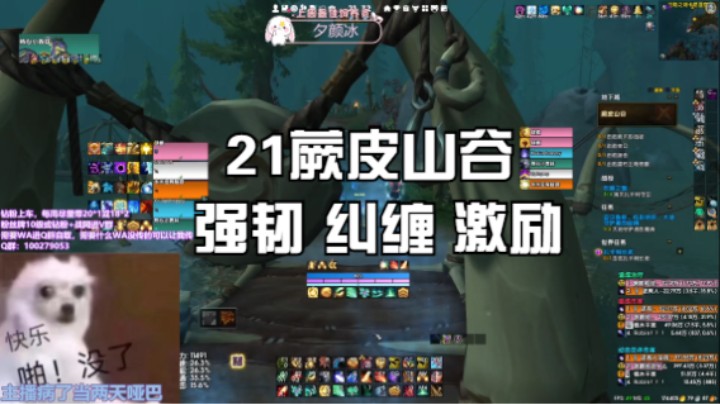 【魔兽世界】21蕨皮山谷 强韧 纠缠 激励