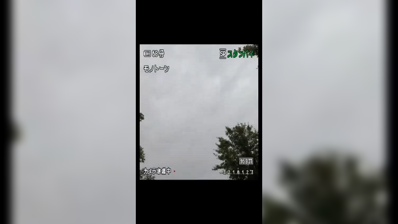 就这样突然出现