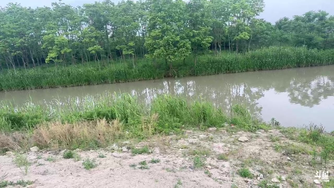 【2023-05-26 17点场】姜姜姜乐涵：叫我小姜就好了