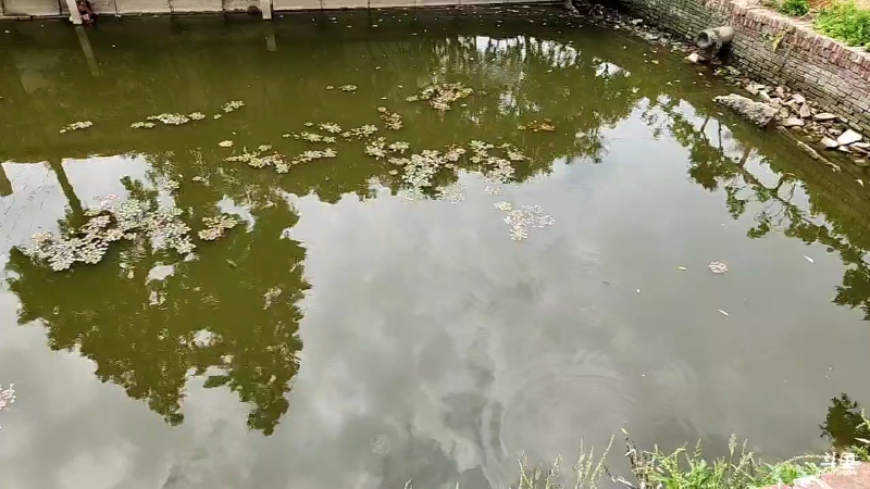 【户外】微山湖捕鱼武工队的精彩时刻 20230526 10点场