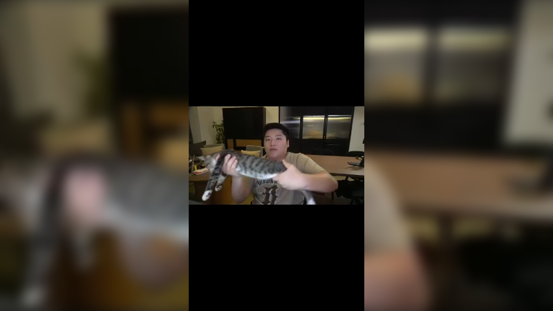 哒哒哒哒哒哒，我的专属猫猫枪
