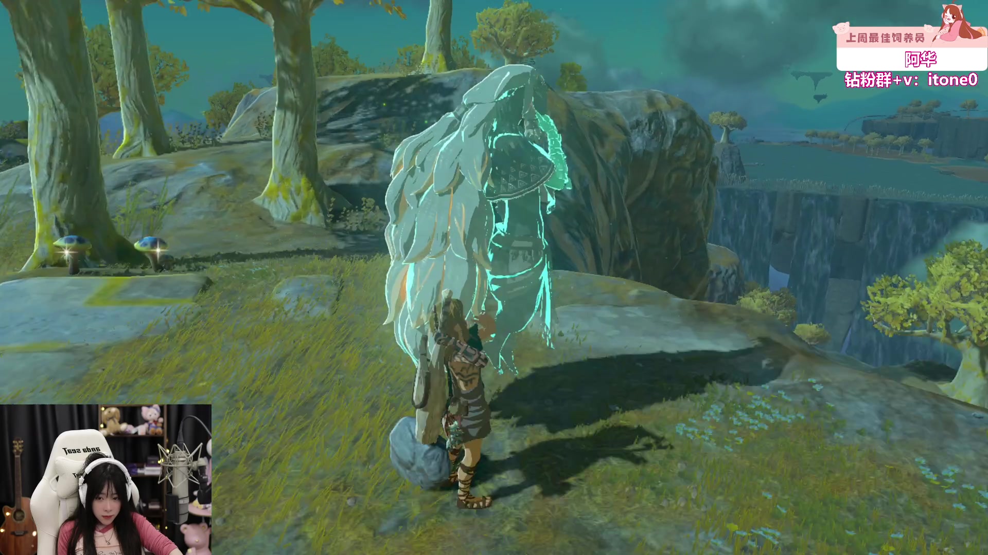 【2023-05-27 17点场】童猪啊i：钻石双倍）塞尔达一会儿