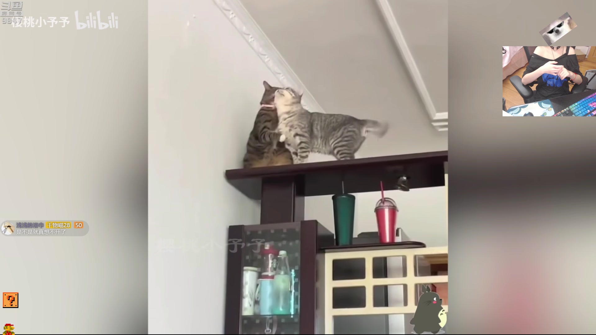 【2023-05-27 21点场】丶干物喵：干物喵❤关爱咸鱼少女