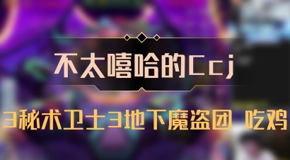 【不太嘻哈的Ccj】3秘术卫士3地下魔盗团 吃鸡