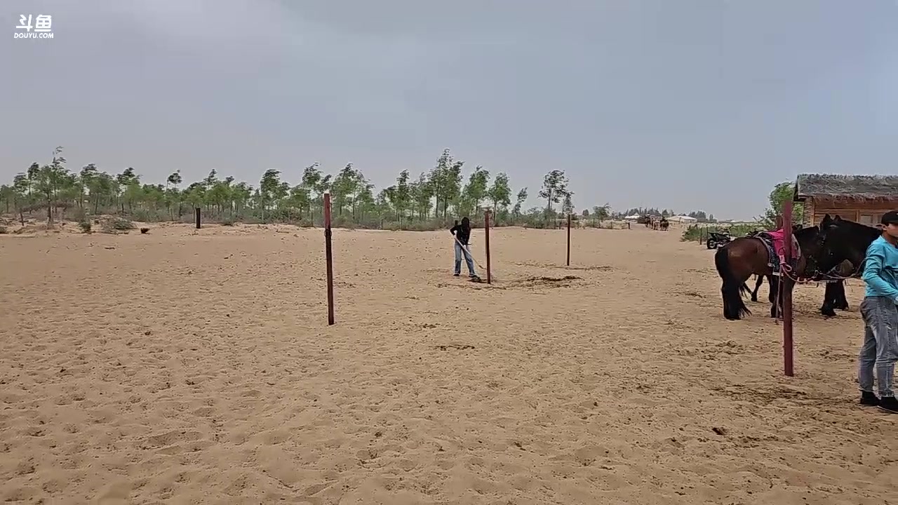 【2023-05-27 19点场】一只蘇l：三倍亲密度，沙漠游戏