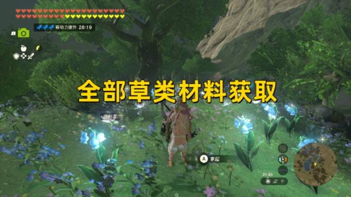 【王国之泪】全部11种草类材料获取地点