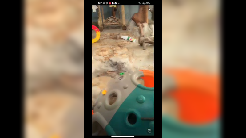 大熊猫坐蘑菇屋玩具上吃竹笋