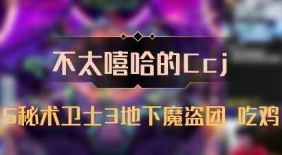 【不太嘻哈的Ccj】5秘术卫士3地下魔盗团 吃鸡