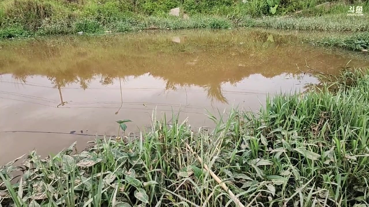 【2023-05-27 16点场】叶子户外：老挝骑行day5川矿