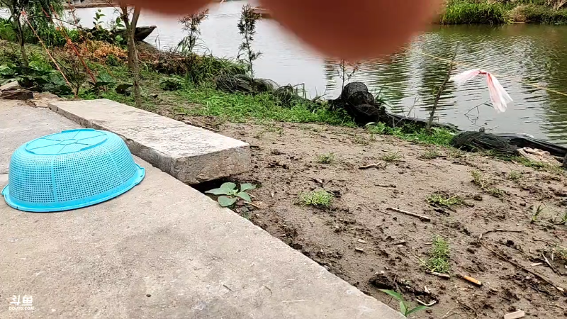 【户外】微山湖捕鱼武工队的精彩时刻 20230529 13点场