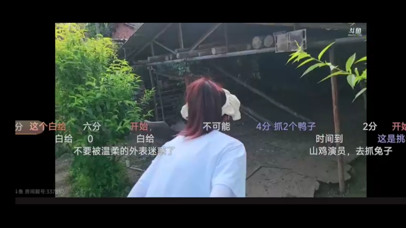 彪子抓鸭和鹅好猛，厉害啊