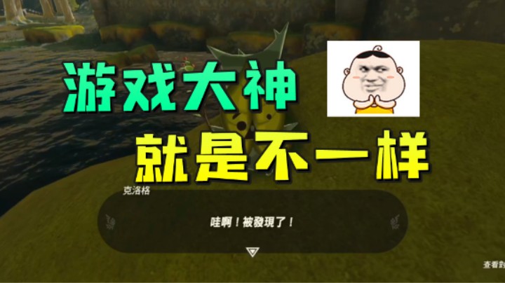 我玩游戏全凭游戏经验