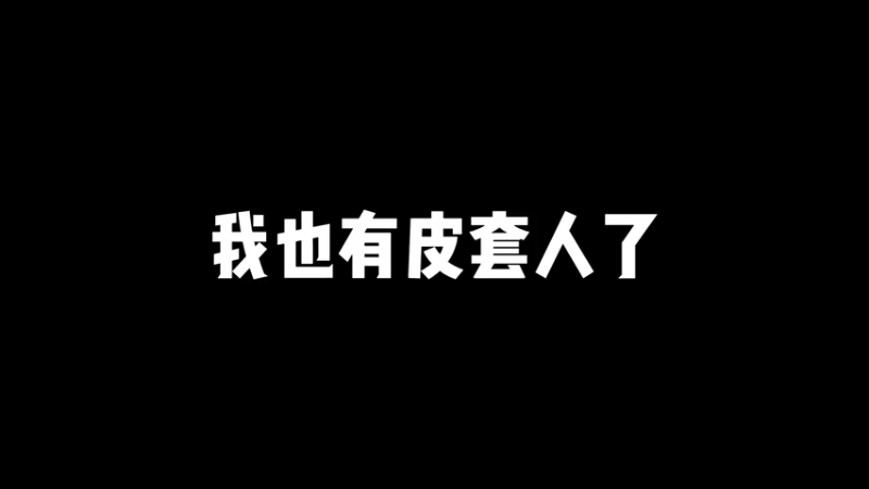 我也有皮套人了