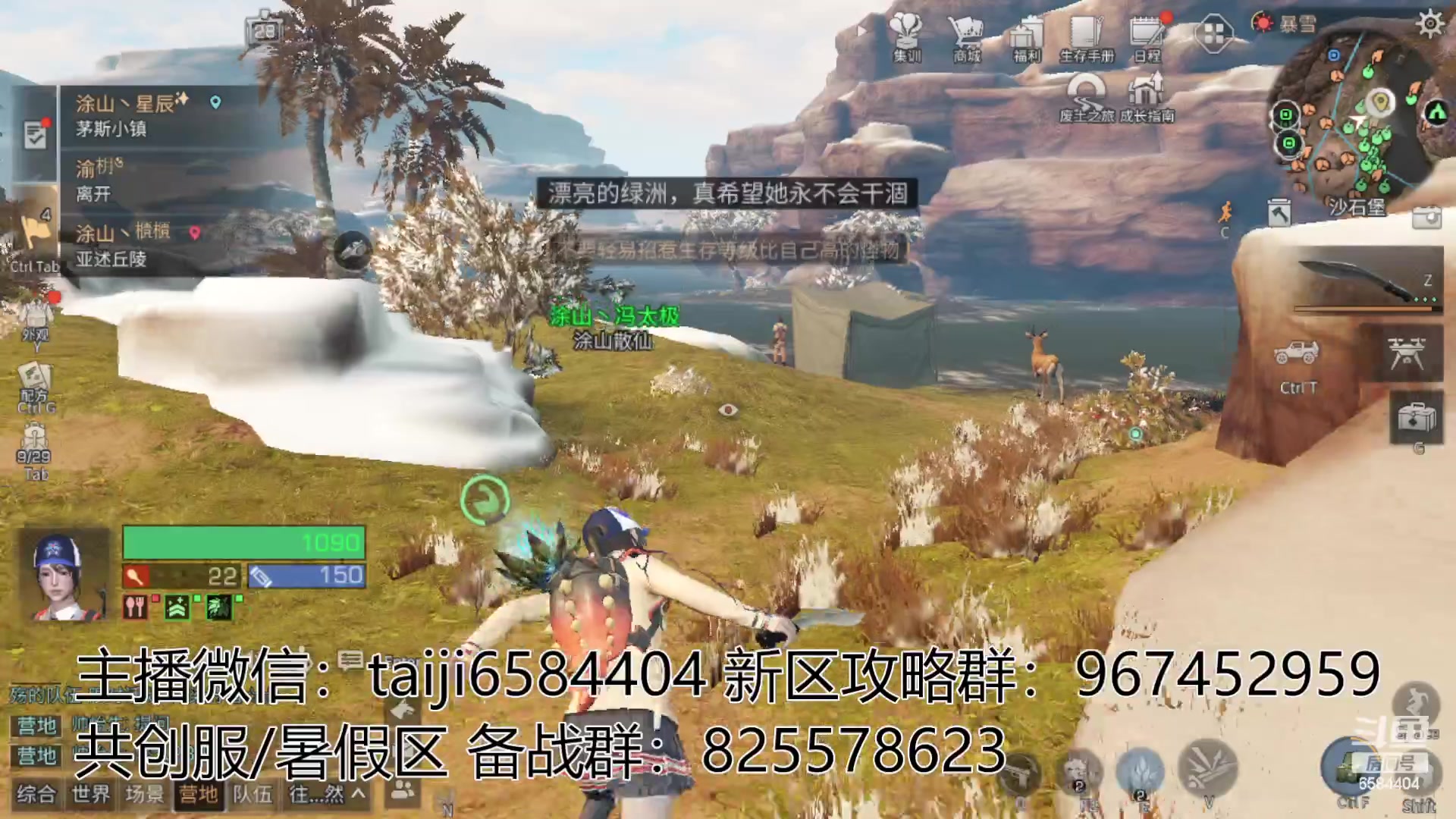 【2023-05-30 16点场】中华田园冯太极：在玩共创服/备战暑假区