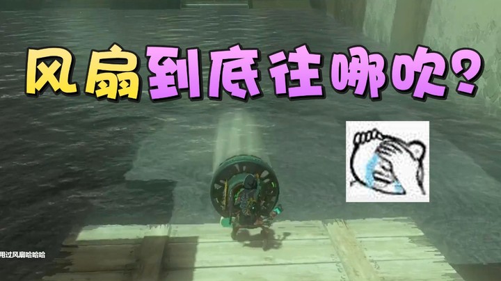 【王国之泪】美美在干嘛：“风扇到底往哪吹”