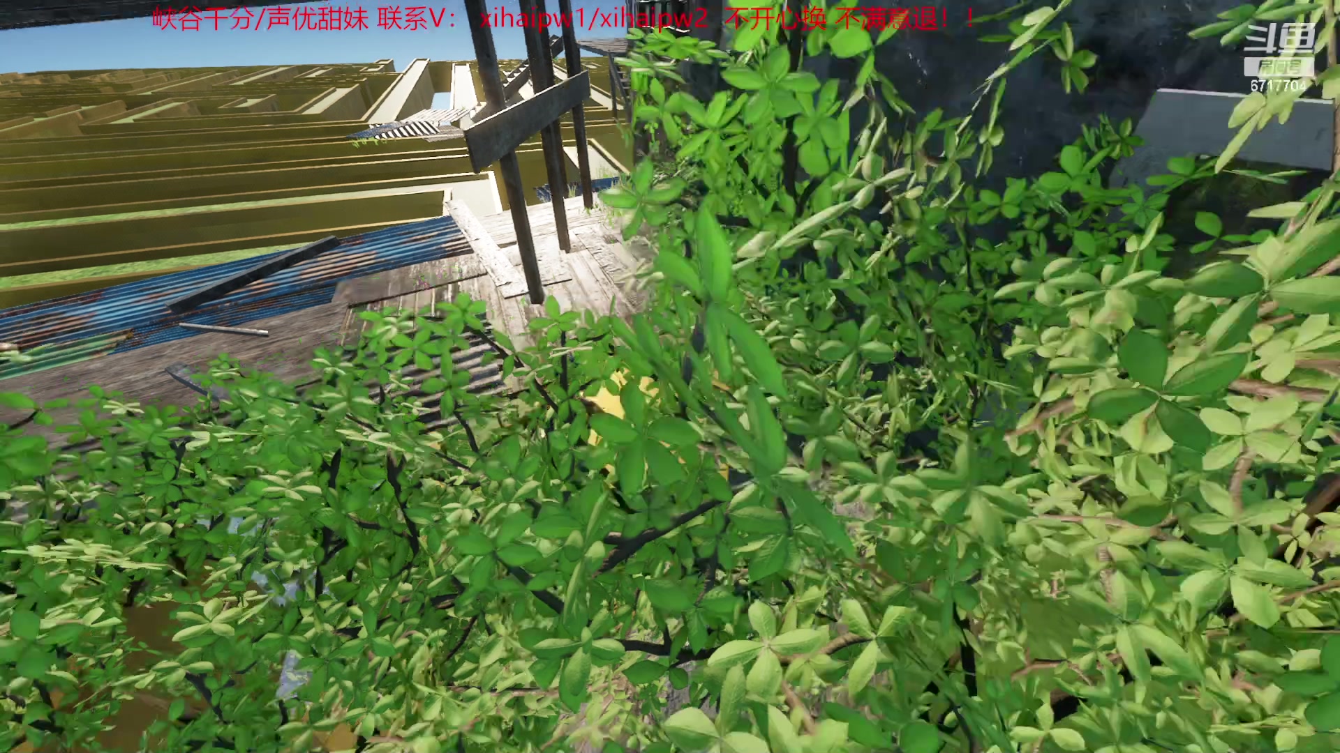 【2023-05-29 21点场】峡谷杀神酱油瓶：今天通关only up