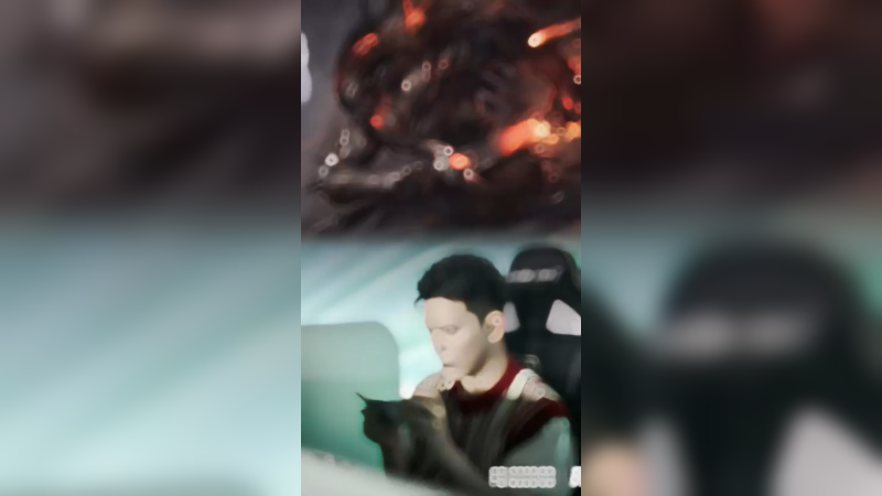 今天鸽一天 sorry