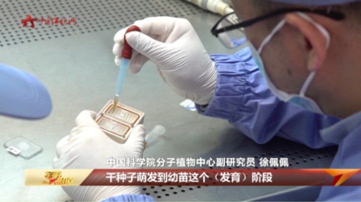 神舟十六号将搭载多种科学实验样品