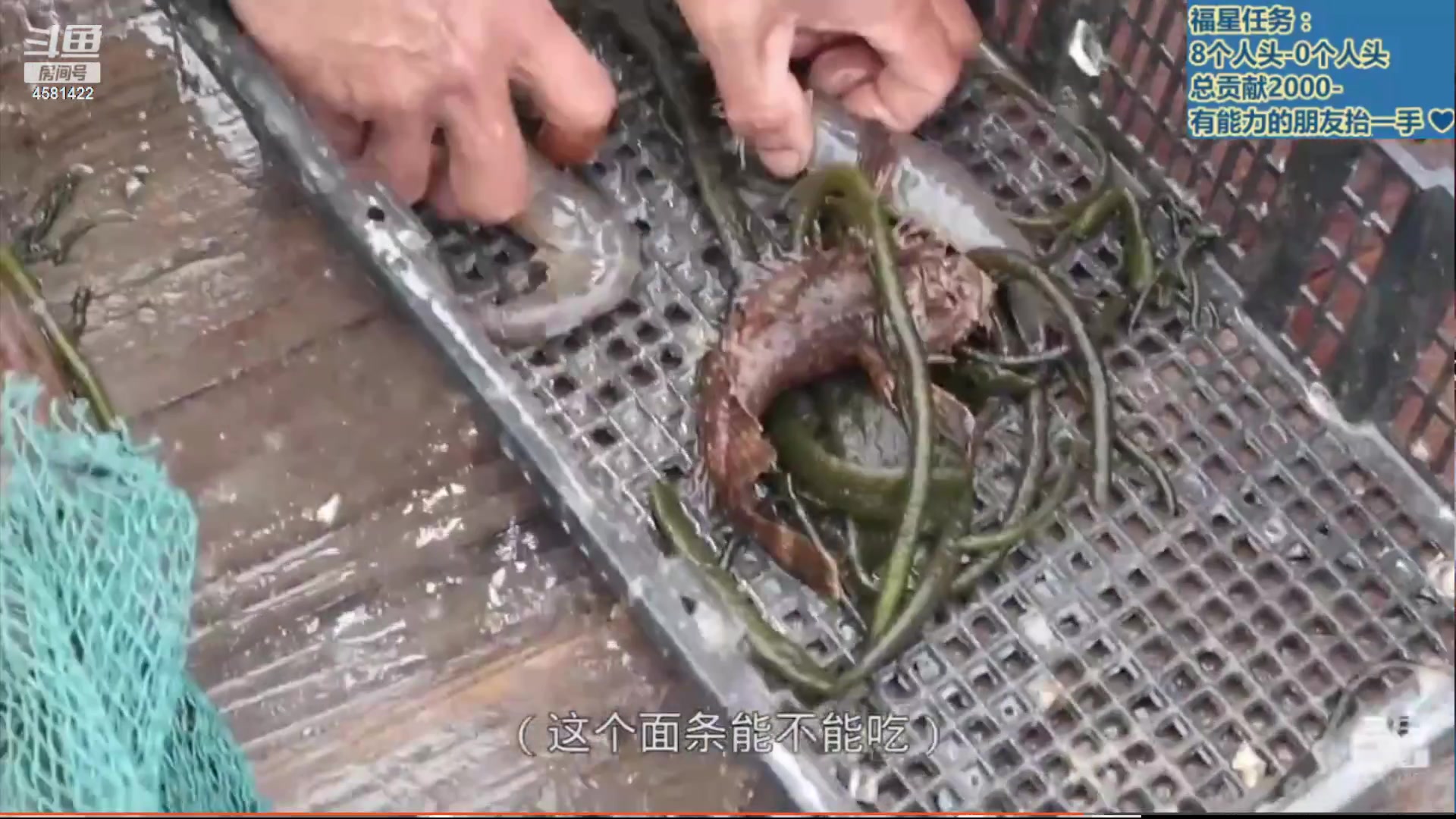 【2023-05-29 17点场】迷人的卿姐姐i：美好的一天开始啦~ 4581422