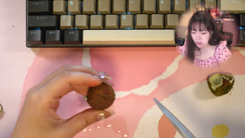 【塞尔达传说：王国之泪】甜心战士的精彩时刻 20230530 18点场