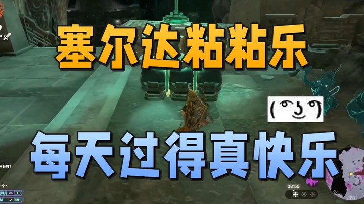 【王国之泪】“塞尔达粘粘乐每天过得真快乐”