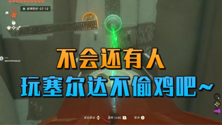 【王国之泪】神隐的直播间：“不会还有人玩塞尔达不偷鸡吧~”