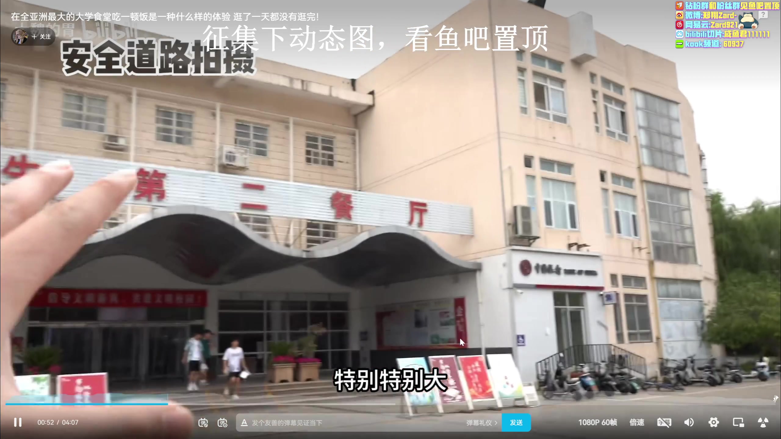 【2023-05-30 15点场】zard1991：zard1991 月底chill下等D4