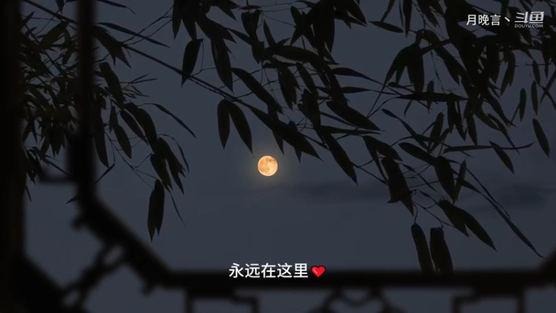 “因为是你，所以风沙星辰都浪漫