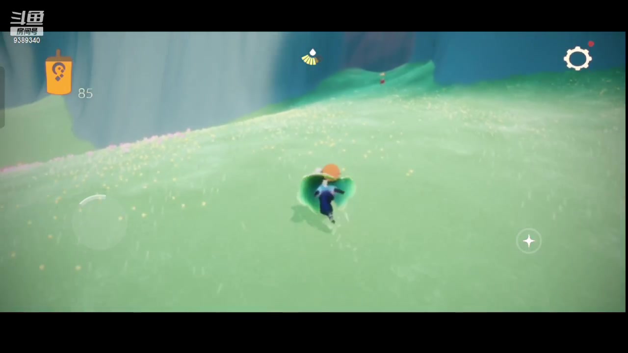 【2023-05-28 10点场】全肉馄饨：光遇冲冲吖