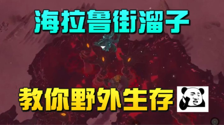 【王国之泪】尘埃好呀：“海拉鲁街溜子教你野外生存”