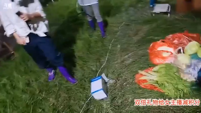 老姗子为了三块薯片，做30个俯卧撑