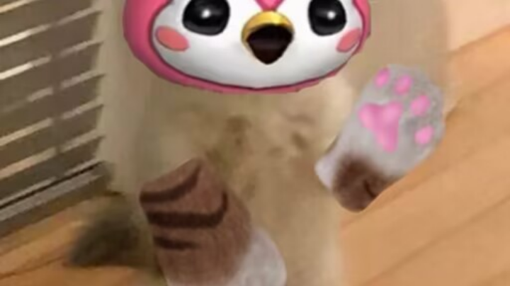 晚安，兄弟们