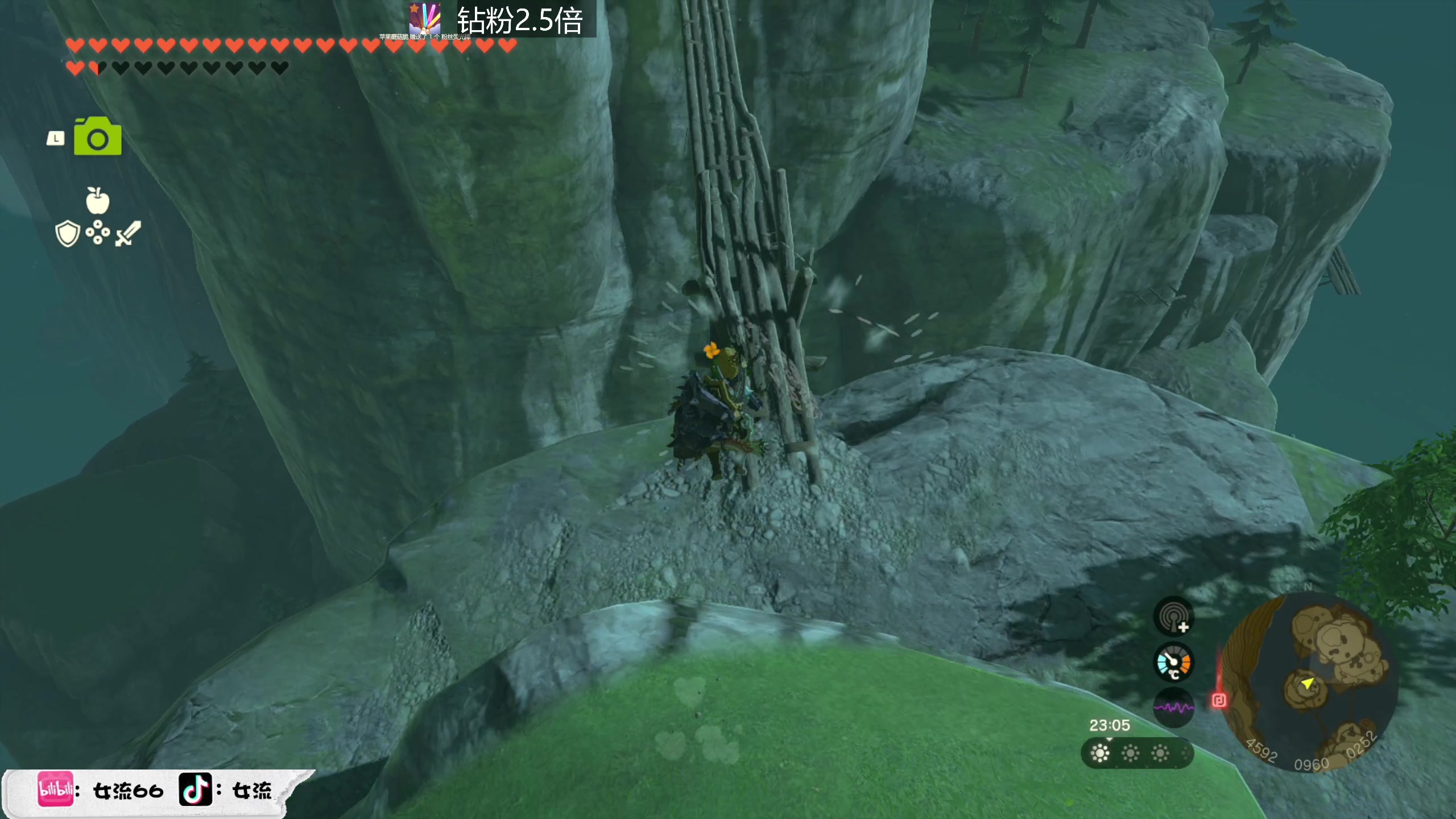 【2023-05-31 16点场】女流66：【钻粉2.5倍】上午来塞尔达！！