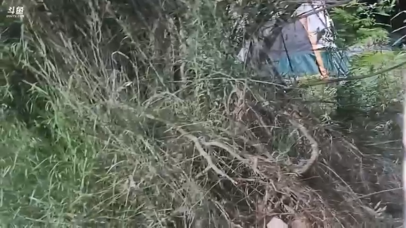 肖哥在卖吃的，女主播都想买自己喜欢的，素素太难了