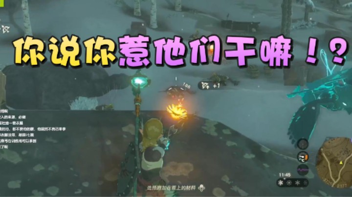【王国之泪】美美在干嘛：“你说你惹他们干嘛！？”