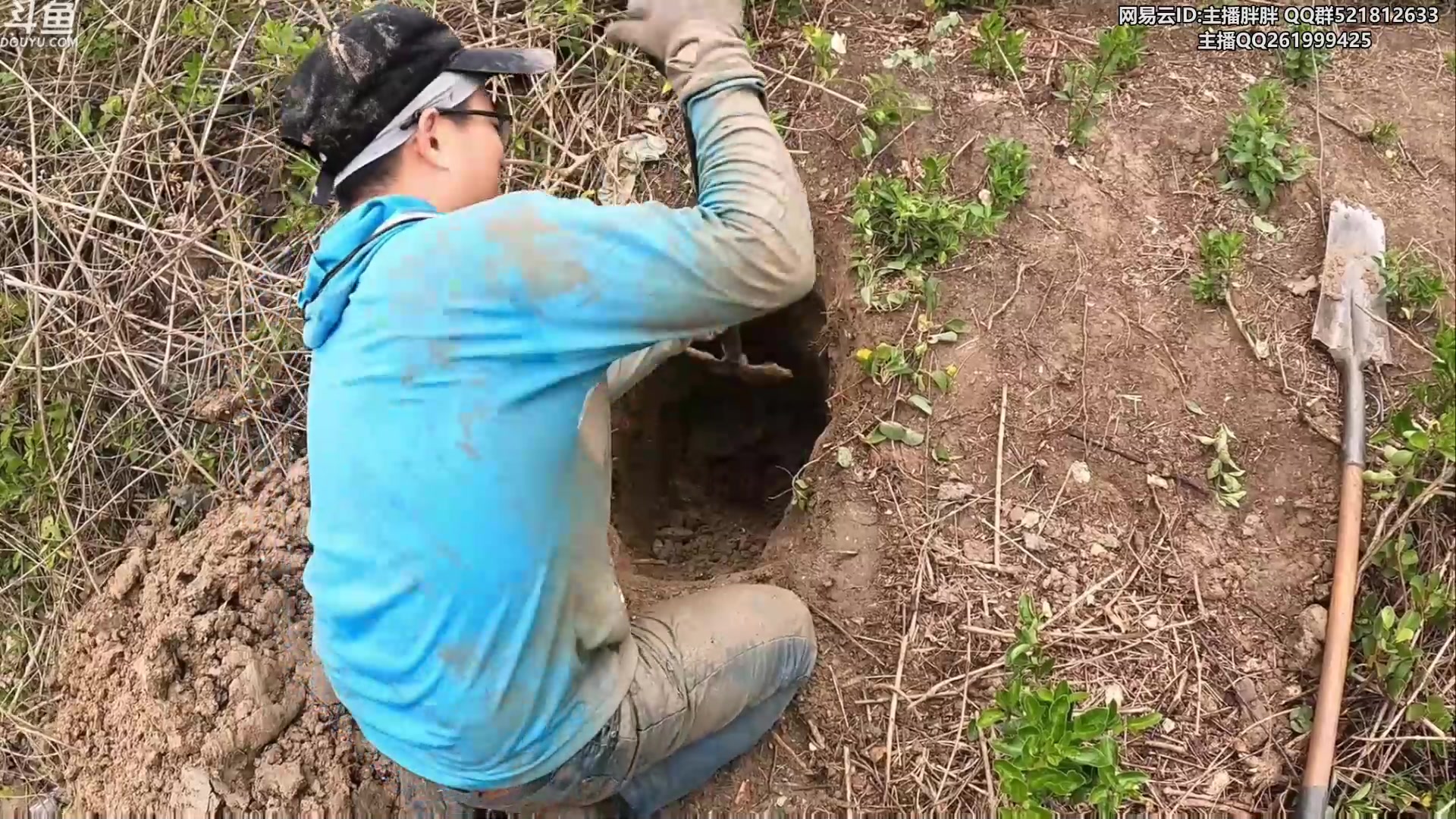 【2023-05-31 03点场】胖胖灬：胖胖OB：亚运阵容基本确定，LPL！