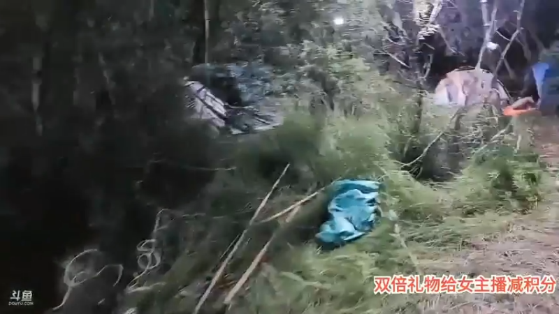 肖哥招服务员，小梦仙最后当服务员帮忙按肩膀