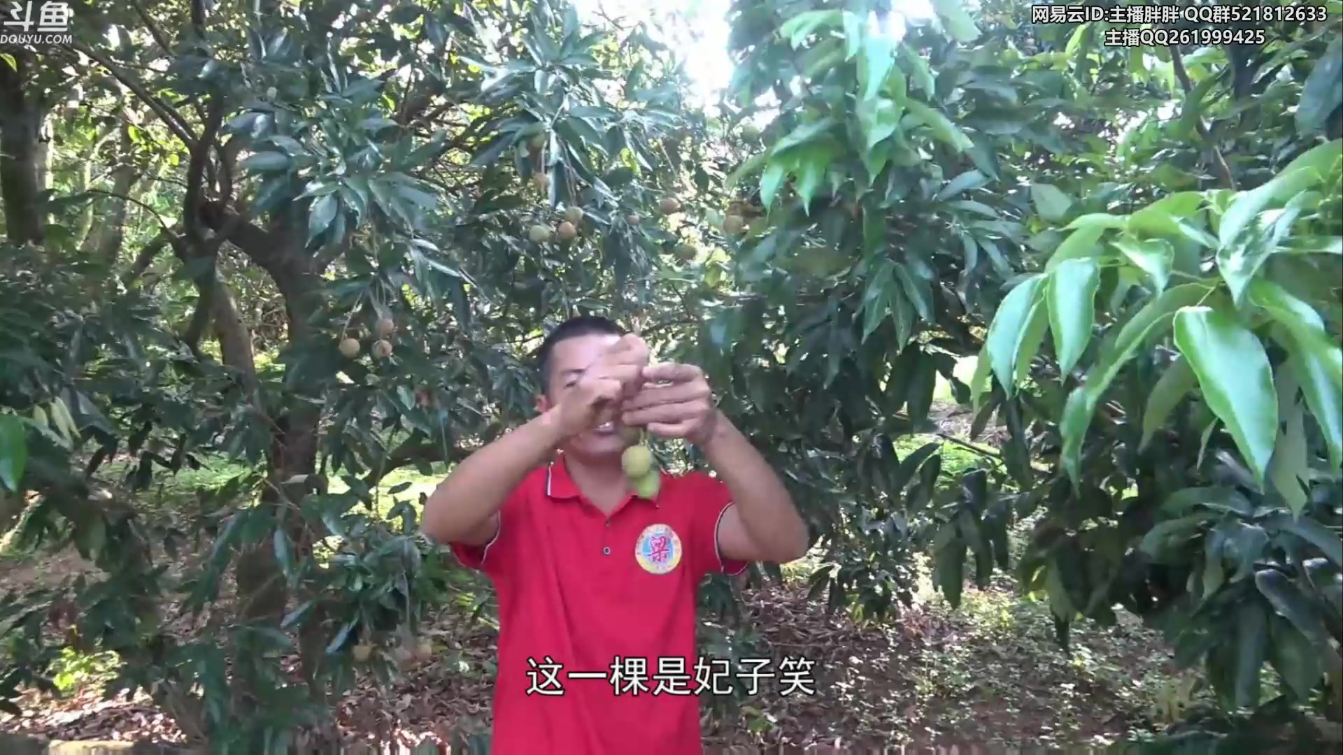 【2023-06-01 03点场】胖胖灬：胖胖OB：LNG强啊，亚运AD危！