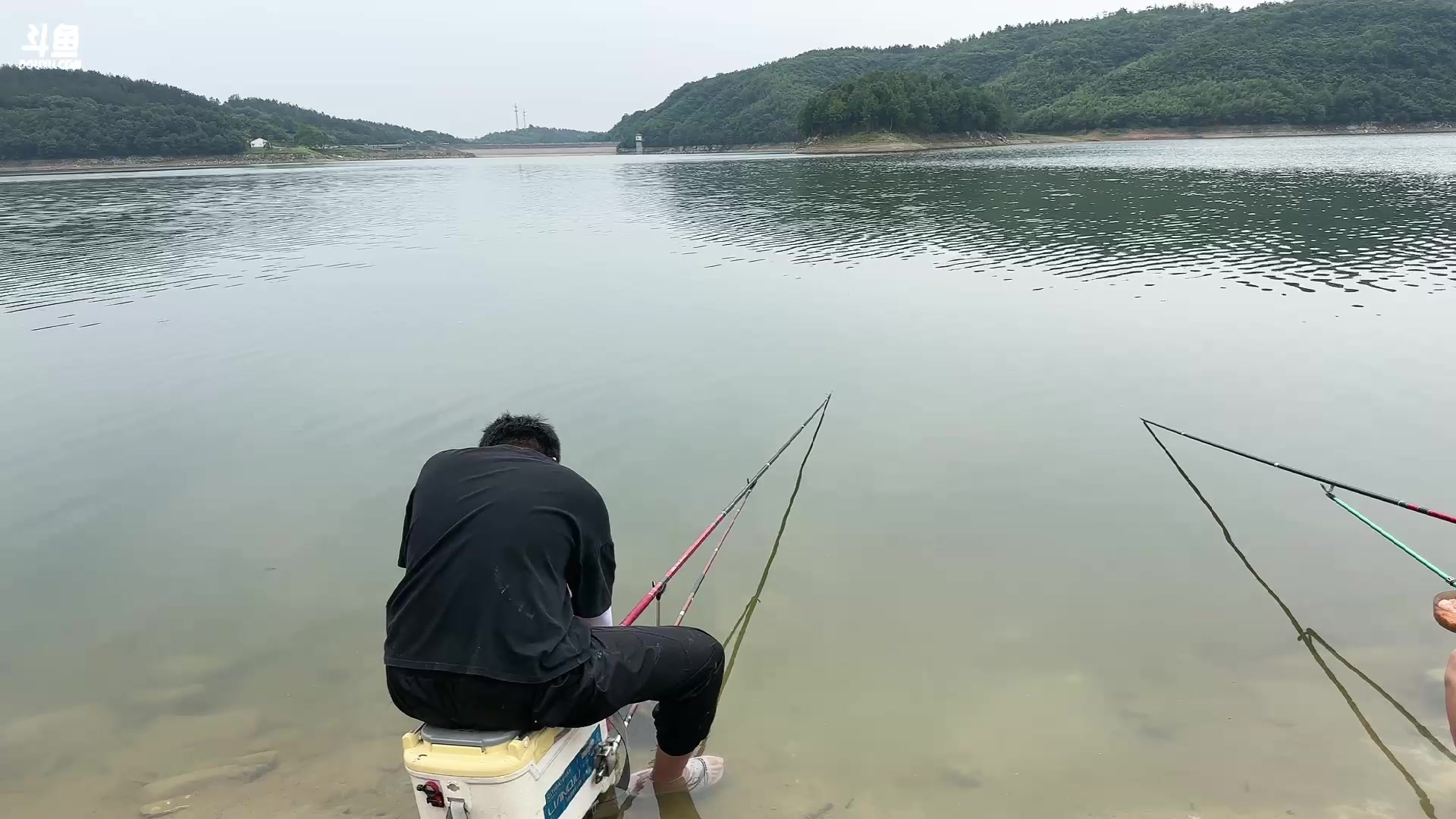 【2023-06-01 10点场】峡谷杀神酱油瓶：和梓威文祥钓鱼砍