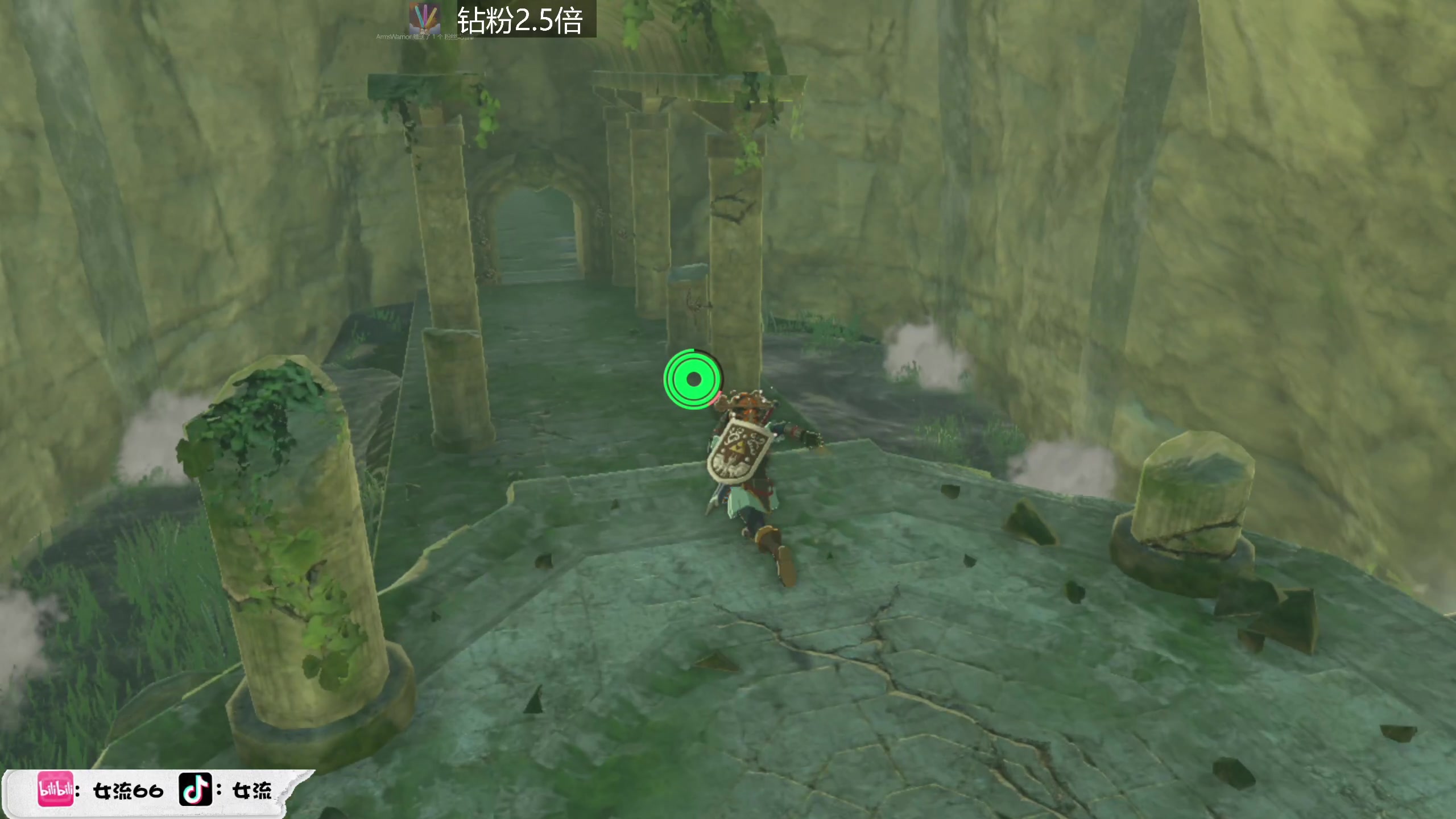 【2023-06-02 15点场】女流66：【今日双倍】中午来塞尔达！！