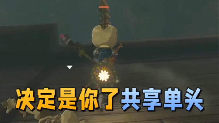 【王国之泪】阿愈Ayu：“决定是你了，共享单头”