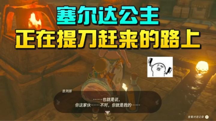 【王国之泪】尘埃好呀：“塞尔达公主正在提刀赶来的路上”