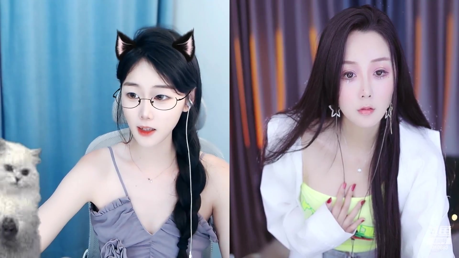 【2023-06-01 14点场】一只兮兮猫3：轮也该轮到我了吧 1010683