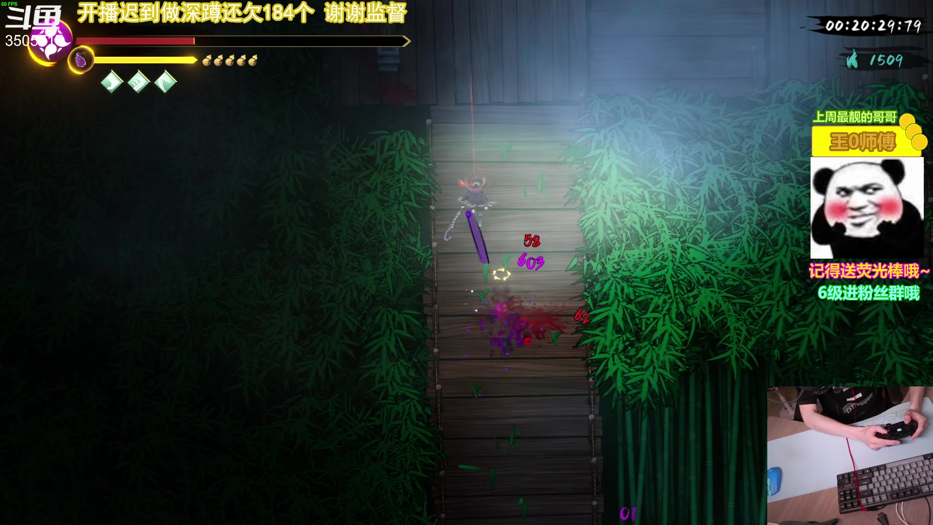 【2023-5-30 13点场】Monkey鱼蛋:【小奶团】放出来的第三天